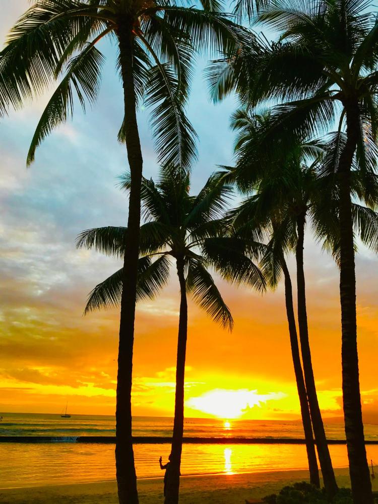 WAIKIKI 2 BEDROOMS, 1 BATH, FREE PARKING, SLEEP 6